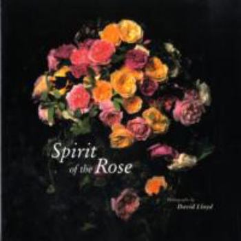 Hardcover Spirit of the Rose : A Love Story Book