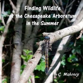 Finding Wildlife at the Chesapeake Arboretum in the Summer
