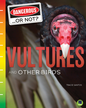 Hardcover Vultures and Other Birds Book