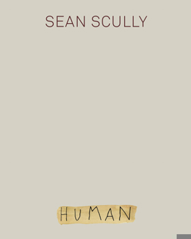 Hardcover Sean Scully: Human Book