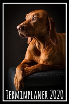 Terminplaner 2020: Jahresplaner von September 2019 bis Dezember 2020 mit Hund - Planer mit 174 Seiten in weiß im Format A5 mit glänzendem Soft Cover. (German Edition)