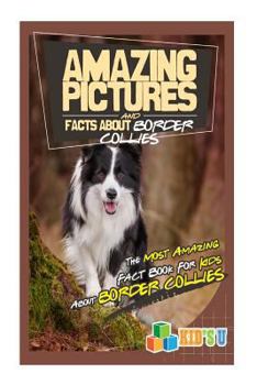 Paperback Amazing Pictures and Facts about Border Collies: The Most Amazing Fact Book for Kids about Border Collies Book