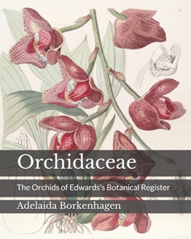 Paperback Orchidaceae: The Orchids of Edwards's Botanical Register Book