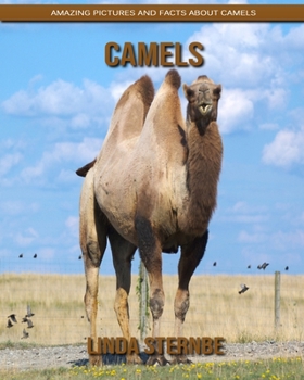 Paperback Camels: Amazing Pictures and Facts About Camels Book
