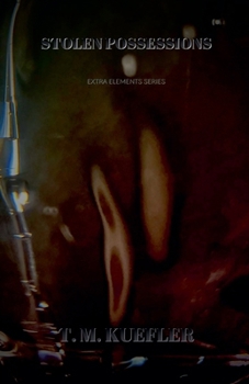 Paperback Stolen Possessions Book