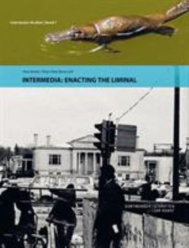 Paperback Intermedia: Enacting the Liminal [German] Book
