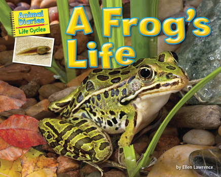 Paperback A Frog's Life Book