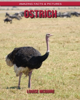 Ostrich: Amazing Facts & Pictures