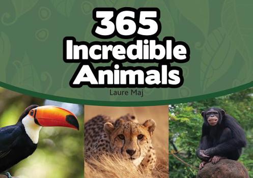 Paperback 365 Incredible Animals Book