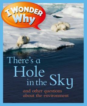 I Wonder Why There's a Hole in the Sky: and Other Questions About the Environment (I Wonder Why) - Book  of the I Wonder Why