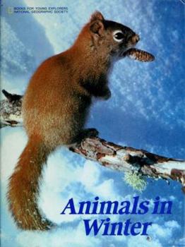 Hardcover Animals in Winter Book