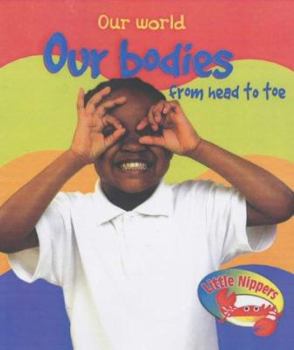 Paperback Our Bodies from Head to Toe Book