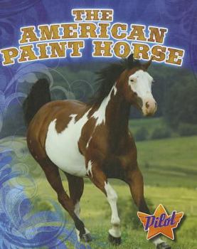 Library Binding The American Paint Horse Book