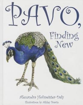 Hardcover Pavo, Finding New Book