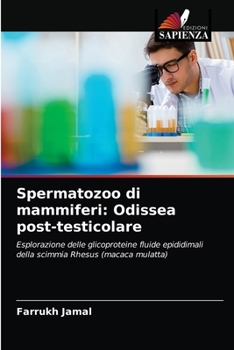 Paperback Spermatozoo di mammiferi: Odissea post-testicolare [Italian] Book