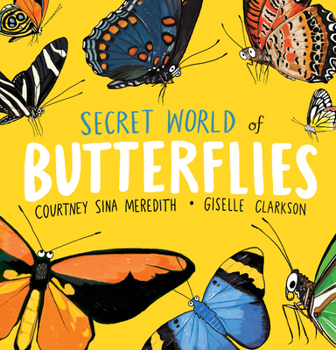 Paperback Secret World of Butterflies Book