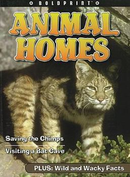 Paperback Steck-Vaughn Boldprint Anthologies: Individual Student Edition Yellow Animal Homes Book