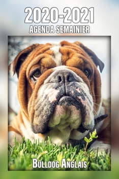 2020-2021 Agenda Semainier Bulldog Anglais: A5, 221 Pages | 24 Mois | Planificateur & Organiseur | Calendrier | Une double page par semaine | Journal | Agenda | En Francais (French Edition)