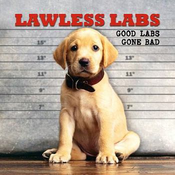 Hardcover Lawless Labs: Good Labs Gone Bad Book