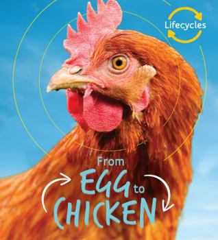 From Egg to Chicken - Book  of the Life Cycles