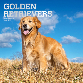 Calendar Golden Retrievers 2022 Square Book