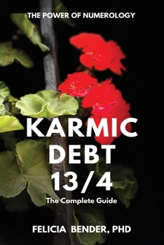 Paperback The Power of Numerology: Karmic Debt 13/4 Book