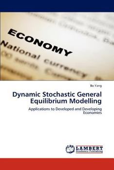 Paperback Dynamic Stochastic General Equilibrium Modelling Book