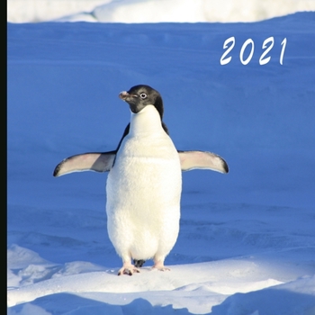 2021: Monthly Photo Calendar - January 2021 - December 2021 - Monthly Calendar with U.S./UK/ Canadian/Christian/Jewish/Muslim Holidays - Penguin Calendar
