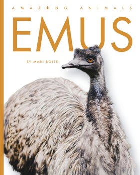 Emus (Amazing Animals)