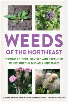 Paperback Weeds of the Northeast Book