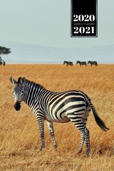 Paperback Zabra Safari Africa Savannah Week Planner Weekly Organizer Calendar 2020 / 2021 - Dry Pasture: Cute Wildlife Animal Pet Bullet Journal Notebook Diary Book