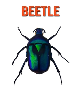Paperback Beetle: Amazing Facts about Beetle Book