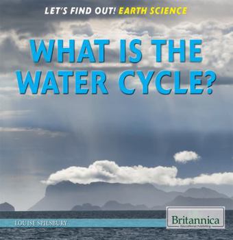 Library Binding What Is the Water Cycle? Book