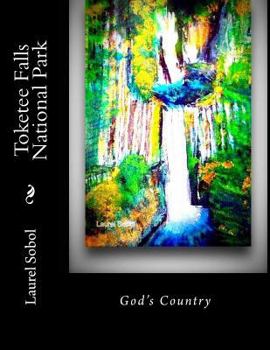 Toketee Falls National Park