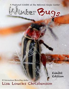 Hardcover Winter Bugs! : Exhibit Edition Book
