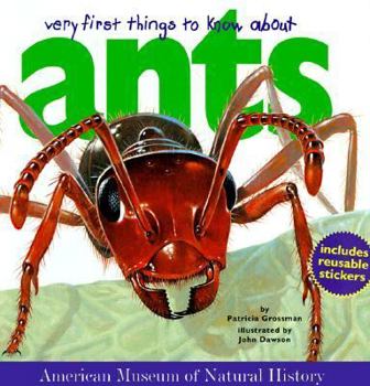 Hardcover Very First Things to Know about Ants [With Full-Color Sticker Sheet with 25 Die-Cut Reusable] Book