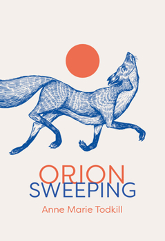 Paperback Orion Sweeping Book