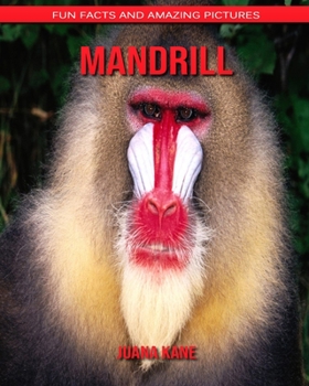 Paperback Mandrill: Fun Facts and Amazing Pictures Book