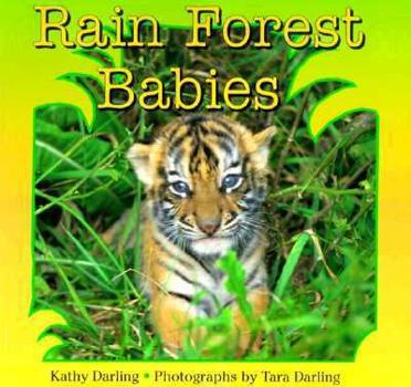 Paperback Rain Forest Babies Book