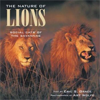 Hardcover The Nature of Lions: Social Cats of the Savannas Book