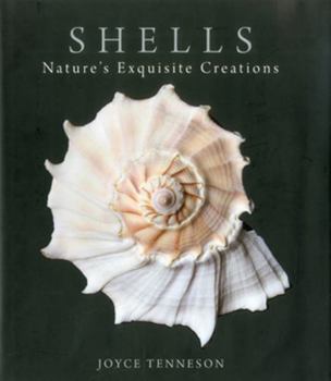 Hardcover Shells: Nature's Exquisite Creations Book