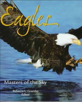 Hardcover Eagles: Masters of the Sky Book