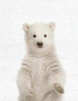 Cute Animal Composition Book Polar Bear: 8. 5 X 11'', 200 Wide Ruled Pages, Notebook for School Softcover Canvas Design : Large Notebook Journal for Teacher, Students, and College