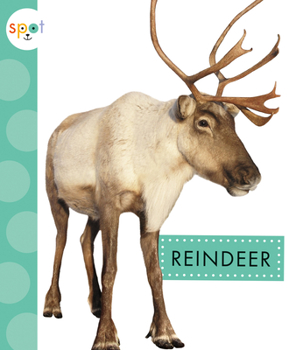 Library Binding Reindeer Book