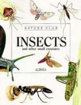 Paperback Insects Book