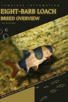 Eight-barb Loach: From Novice to Expert. Comprehensive Aquarium Fish Guide