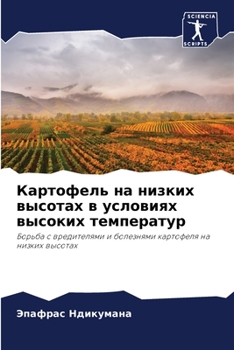 Paperback &#1050;&#1072;&#1088;&#1090;&#1086;&#1092;&#1077;&#1083;&#1100; &#1085;&#1072; &#1085;&#1080;&#1079;&#1082;&#1080;&#1093; &#1074;&#1099;&#1089;&#1086; [Russian] Book