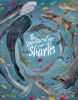 Hardcover Spectacular Lives of Sharks Book