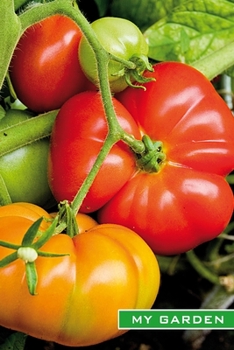 My Garden: Tomatoes. Format A5, 120 pages, fine grey lined. Journal, diary, notebook and garden planner for everything that happens in the garden throughout the year