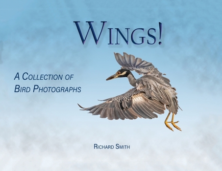 Paperback Wings! Book